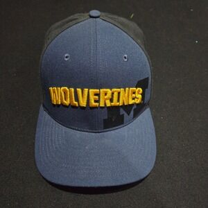 Nike Michigan Wolverines Classic99 Dri-FIT Hat Navy Black Mens OSFM Cap